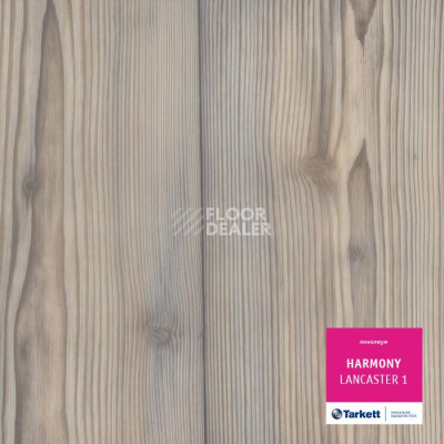 Линолеум Tarkett Harmony LANCASTER 1 фото 1 | FLOORDEALER